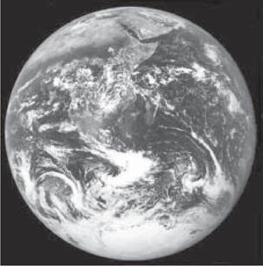 image31