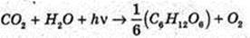  11klas_1.files/image1145.jpg