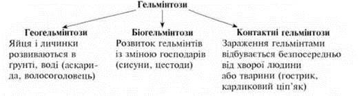 image21