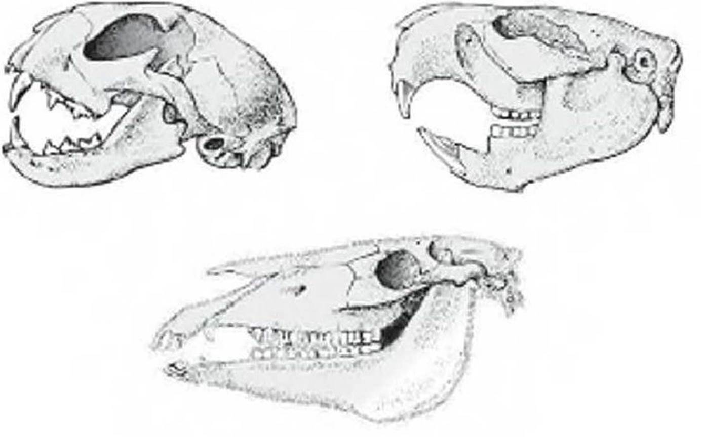 7klas_3.files/image190.jpg