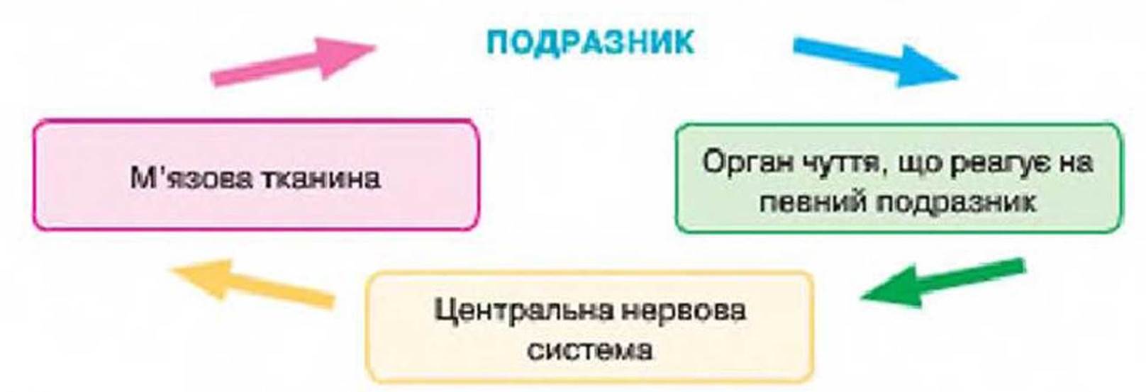 7klas_3.files/image216.jpg