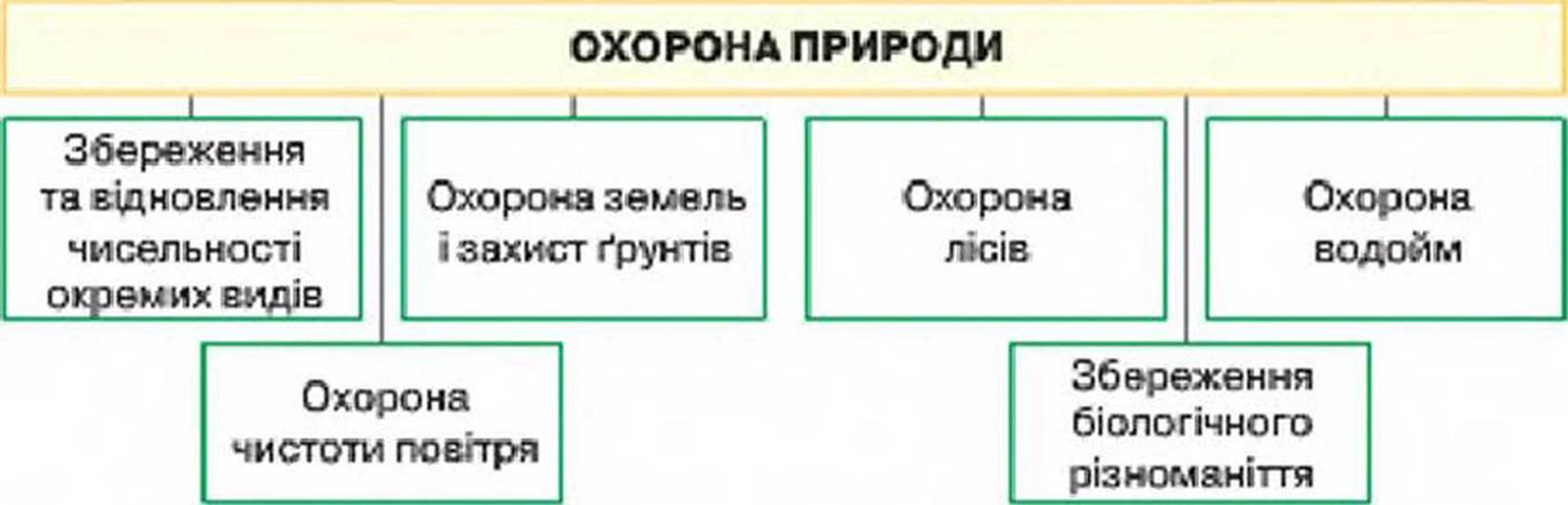 7klas_3.files/image283.jpg